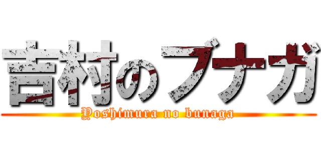 吉村のブナガ (Yoshimura no bunaga)