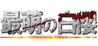 最萌の白櫻 (attack on titan)