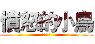 憤怒的小鳥 (這是真的)