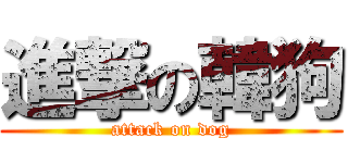 進撃の韓狗 (attack on dog)