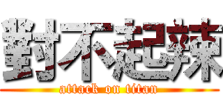 對不起辣 (attack on titan)