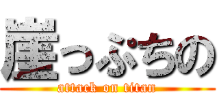 崖っぷちの (attack on titan)