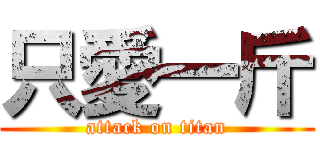 只愛一斤 (attack on titan)