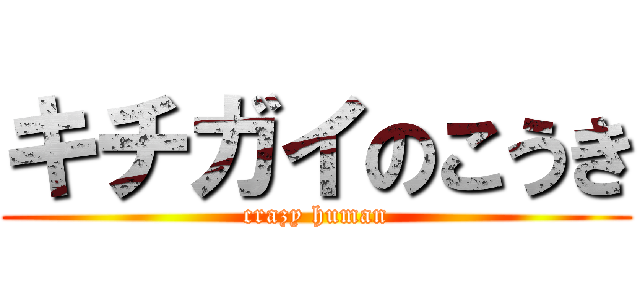 キチガイのこうき (crazy human)