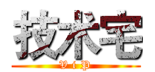 技术宅 (V i P)