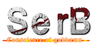 ＳｅｒＢ (Conscience of goddamn )