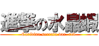 進撃の水晶蝦 (Caridina serrata var. red)