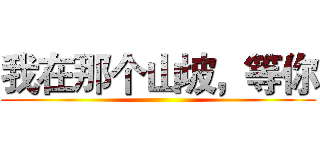 我在那个山坡，等你 ()