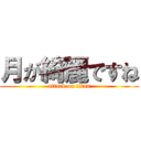 月が綺麗ですね (attack on titan)