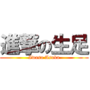 進撃の生足 (Iwasa Asuka)