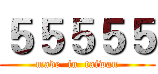 ５５５５５ (made  in  taiwan)