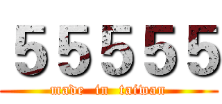 ５５５５５ (made  in  taiwan)
