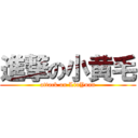 進撃の小黄毛 (attack on LiuYuan)