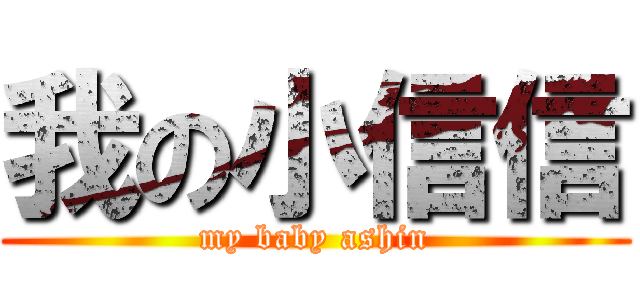 我の小信信 (my baby ashin)