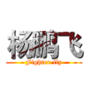 杨鹏飞 (Fighter-fly)