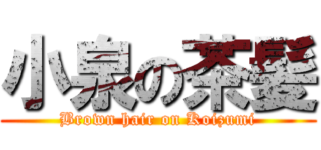 小泉の茶髪 (Brown hair on Koizumi)