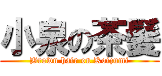 小泉の茶髪 (Brown hair on Koizumi)