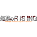 煙草のＲＩＳＩＮＧ (RISING of a tobacco dependence syndrome)