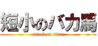 短小のバカ馬 (attack on titan)