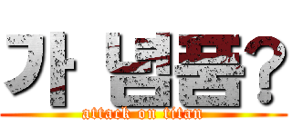가  념품 (attack on titan)