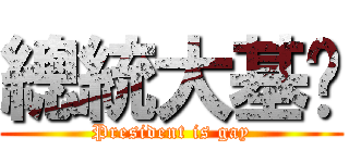 總統大基佬 (President is gay)