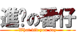 進擊の番仔 (What did you say)