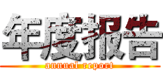 年度报告 (annual report)