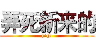 弄死新来的 (haha)