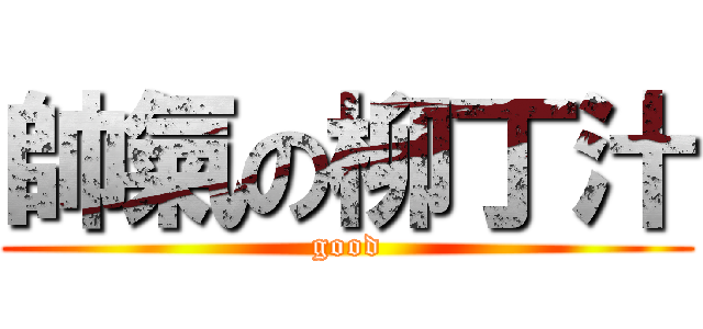 帥氣の柳丁汁 (good)