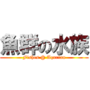 魚群の水族 (Fishes @ Aqurian)