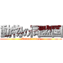 動物の同盟国 (Animal allies)