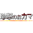 珍撃のおカマ (attack on kokotan)