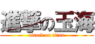 進撃の玉海 (attack on titan)