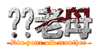 屌你老母 (Diu your old monther)