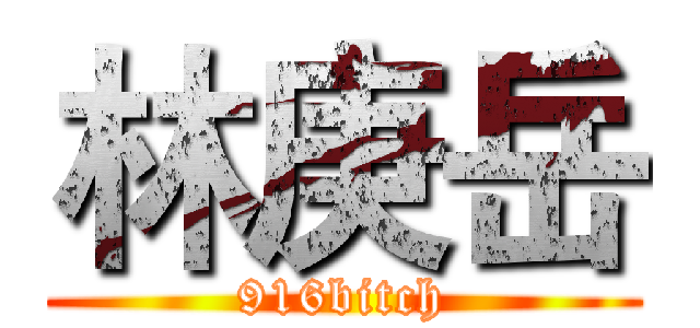 林庚岳 (916bitch)