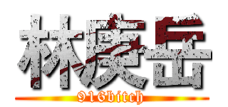 林庚岳 (916bitch)