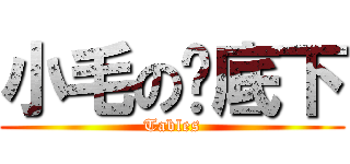 小毛の桌底下 (Tables)