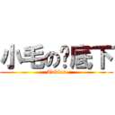 小毛の桌底下 (Tables)