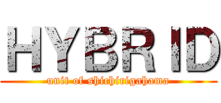 ＨＹＢＲＩＤ (unit of shichirigahama)