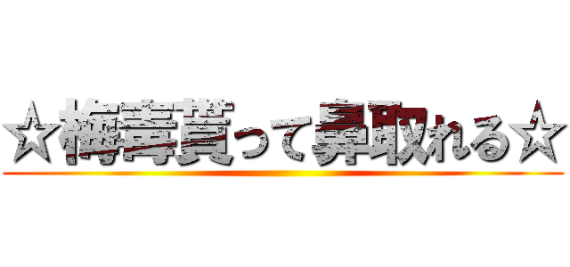 ☆梅毒貰って鼻取れる☆ ()