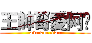 王帥哥愛阿奶 (attack on titan)