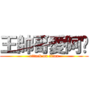 王帥哥愛阿奶 (attack on titan)