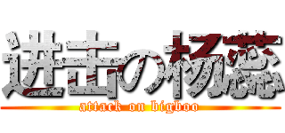 进击の杨蕊 (attack on bigboo)