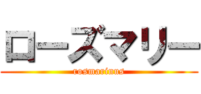 ローズマリー (rosmarinus)