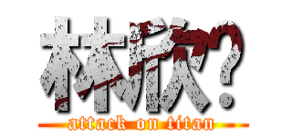 林欣縈 (attack on titan)