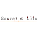 Ｓｅｃｒｅｔ   の   Ｌｉｆｅ (Love    Forever)