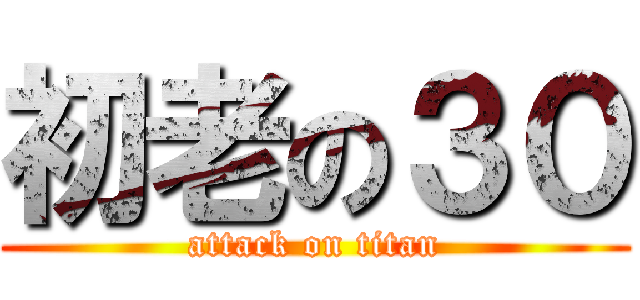 初老の３０ (attack on titan)