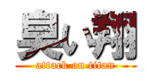 臭い翔 (attack on titan)
