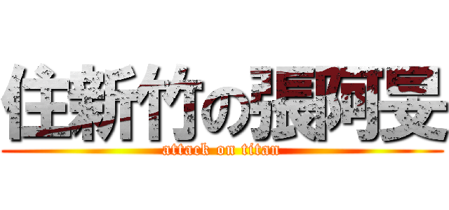 住新竹の張阿旻 (attack on titan)