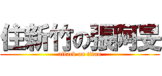 住新竹の張阿旻 (attack on titan)